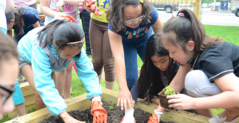 Kids gardening